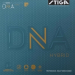 [추석이벤트] DNA Hybrid H
